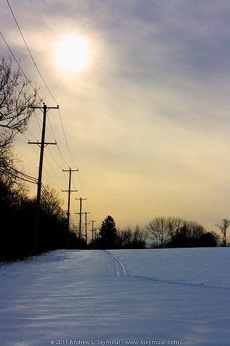 110204 Rt 401 Field 001 110204 Rt 401 Field 001 - Cross County ski tracks