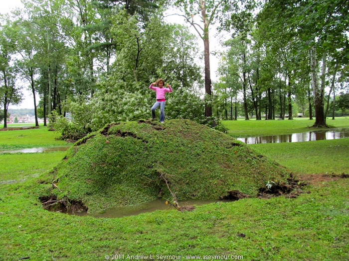 Madison on top of fallen tree root ball Madison on top of fallen tree root ball