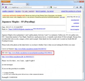 CraigsList User Posting #2 CraigsList User Posting #2