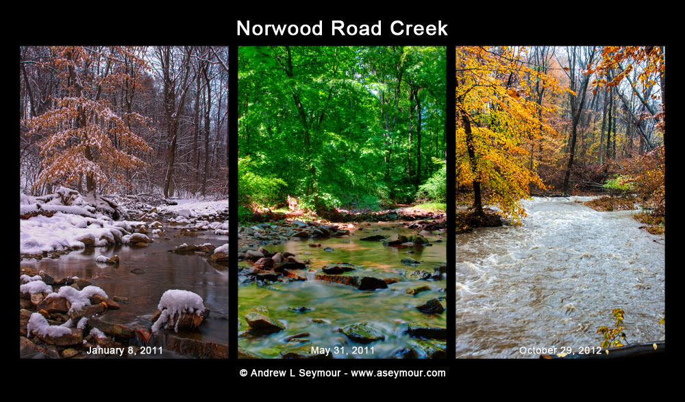 Norwood Rd Creek (1/11 5/31 10/12) Norwood Rd Creek (1/11 5/31 10/12)