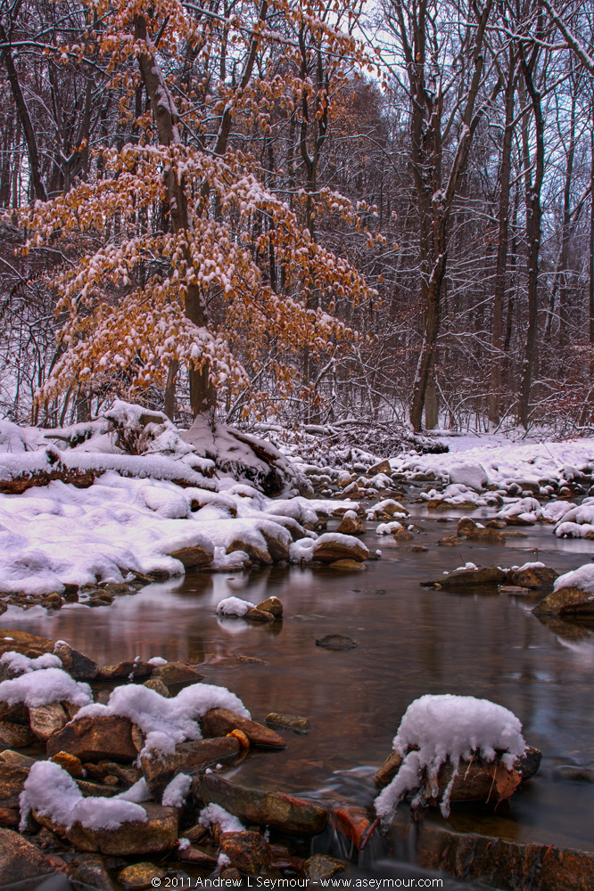 Snow Stream hdr 13 (2011)
