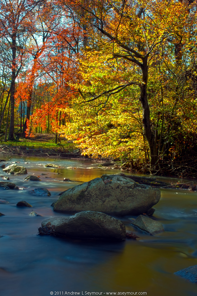 Fall Creek Colors (2011)
