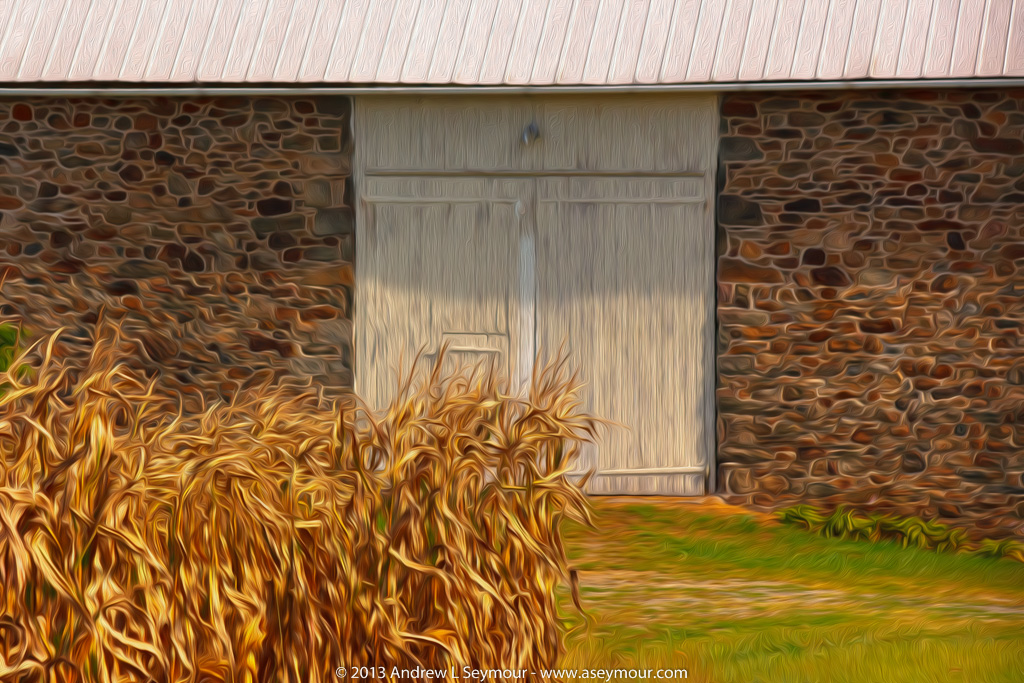 Barn door with corn stalks - Digital Art Barn door with corn stalks - Digital Art