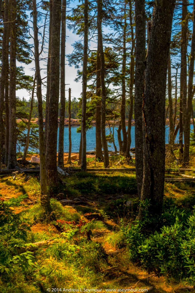 Wonderland Trail 113