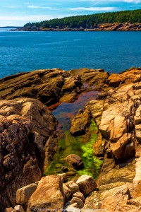 Ocean Path 047