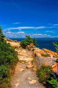 Ocean Path 067