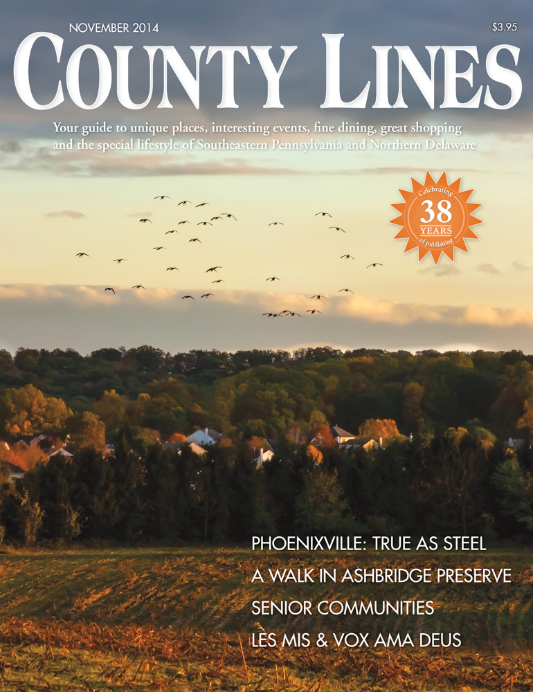 Nov 2014 Cover - County Lines Magazine