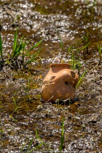 Plastic Doll Head 037