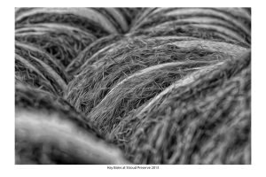 Hay Bales at Stroud Preserve 2013