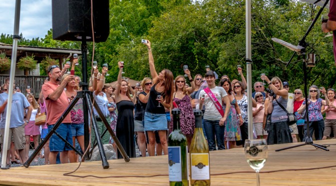 Black Walnut Winery – World Record?