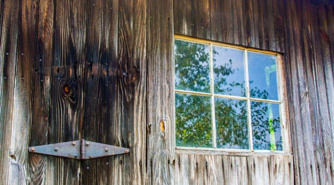 Hinge and Window