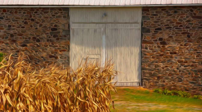 Barn door with corn stalks – Digital Art