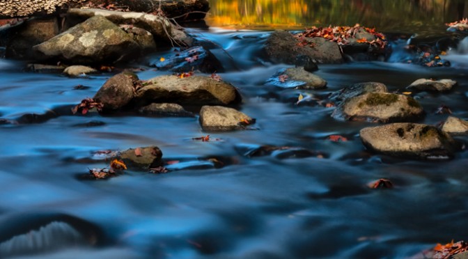 Featured on Manfrotto