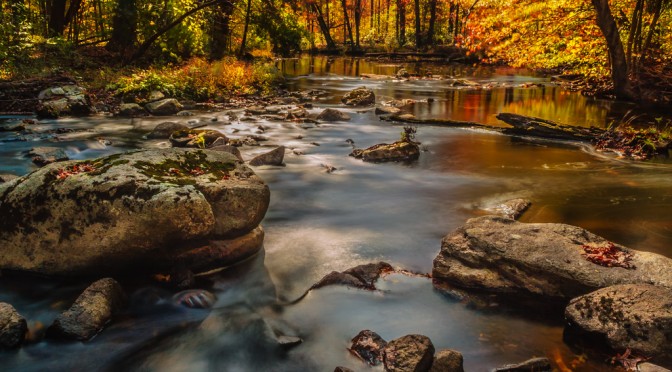 Pixoto – A Year Later