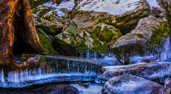 9°F on the Rim Trail