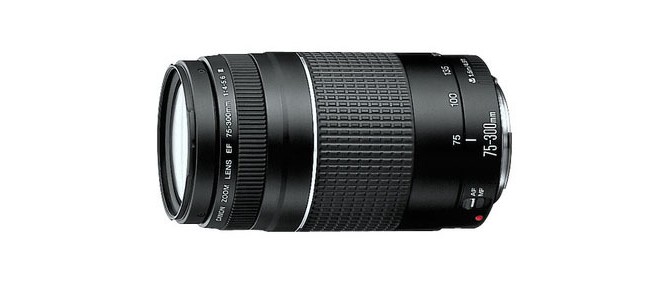 Lens Hoods