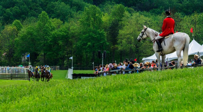 Radnor Hunt Races