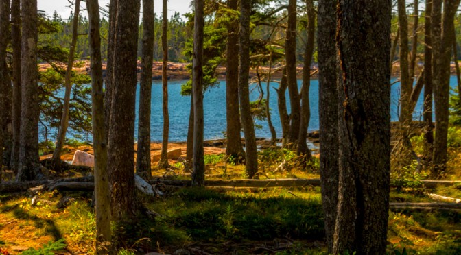 Wonderland Trail – Acadia NP