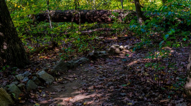 Founder’s Way Point – Marsh Creek State Park