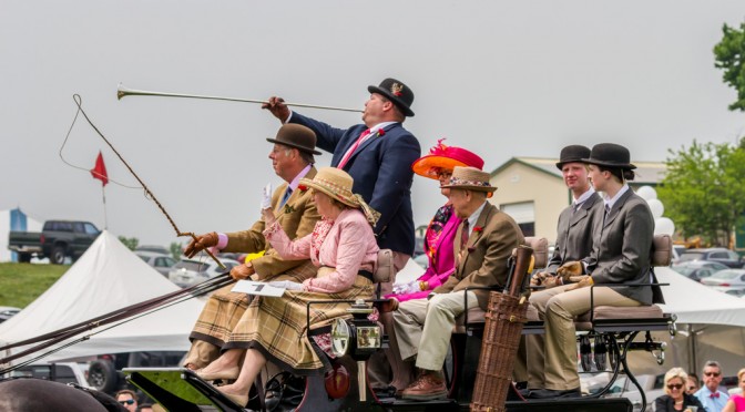 Carriages of 2015 Radnor Hunt Races