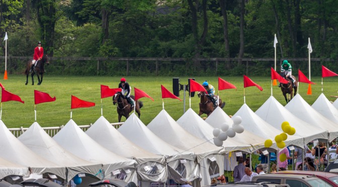 Steeplechase of 2015 Radnor Hunt Races